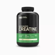 Optimum Nutrition Creatine Powder 600 g