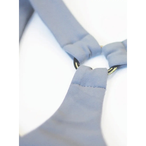 Kevin Levrone Bra 03 LW Lady Grey