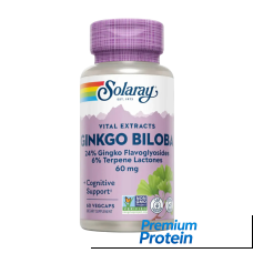 Solaray Ginkgo Biloba Leaf Extract — capsules | 60 × 60 mg