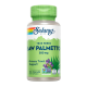 Solaray Saw Palmetto Berry — capsules | 100 × 580 mg