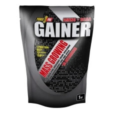 Power Pro Gainer — powder | 1000 g