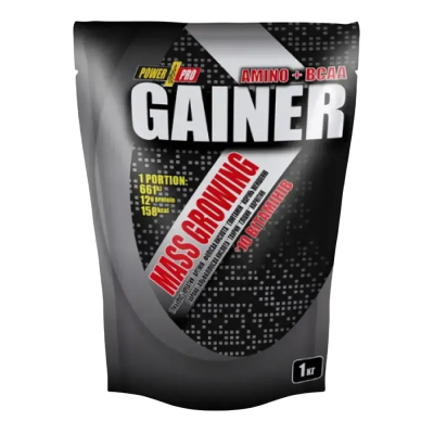 Power Pro Gainer — powder | 1000 g