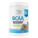 Bodyperson Labs BCAA Recovery — powder | 500 g