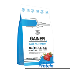 Bodyperson Labs Mass Gainer — powder | 2000 g