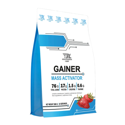 Bodyperson Labs Mass Gainer — powder | 2000 g